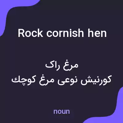 معنی rock cornish hen به فارسی معنی rock cornish hen به فارسی