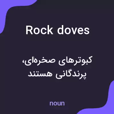 معنی rock doves به فارسی معنی rock doves به فارسی