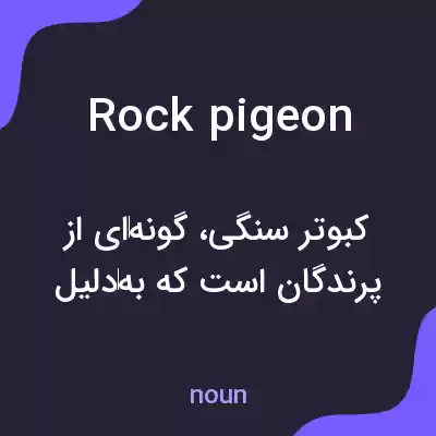 معنی rock pigeon به فارسی معنی rock pigeon به فارسی