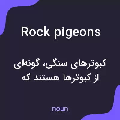 معنی rock pigeons به فارسی معنی rock pigeons به فارسی