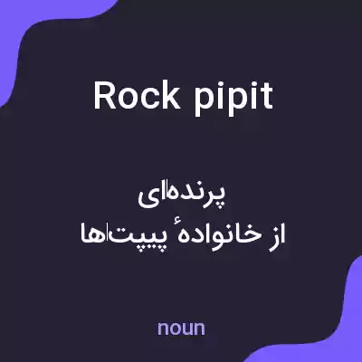 معنی rock pipit به فارسی معنی rock pipit به فارسی