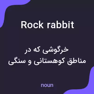 معنی rock rabbit به فارسی معنی rock rabbit به فارسی