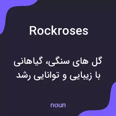 معنی rockroses به فارسی معنی rockroses به فارسی