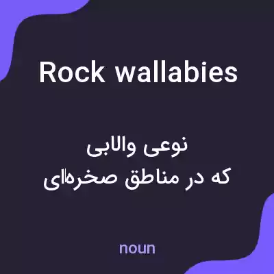 معنی rock wallabies به فارسی معنی rock wallabies به فارسی