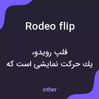 معنی rodeo flip به فارسی معنی rodeo flip به فارسی