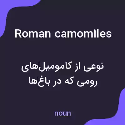 معنی roman camomiles به فارسی معنی roman camomiles به فارسی