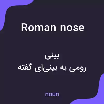 معنی roman nose به فارسی معنی roman nose به فارسی