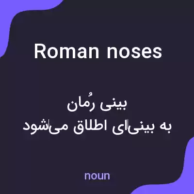معنی roman noses به فارسی معنی roman noses به فارسی