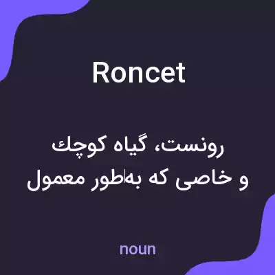 معنی roncet به فارسی معنی roncet به فارسی