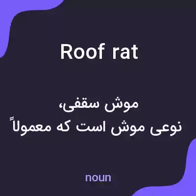 معنی roof rat به فارسی معنی roof rat به فارسی