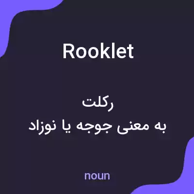 معنی rooklet به فارسی معنی rooklet به فارسی