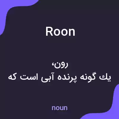 معنی roon به فارسی معنی roon به فارسی
