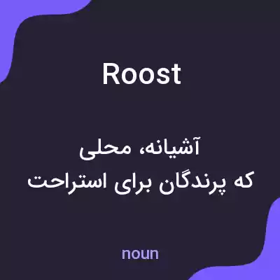 معنی roost به فارسی معنی roost به فارسی