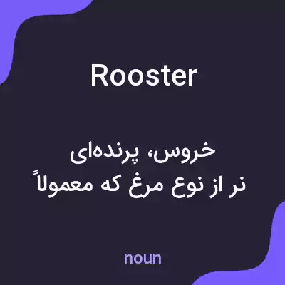 معنی rooster به فارسی معنی rooster به فارسی