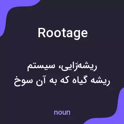 معنی rootage به فارسی معنی rootage به فارسی
