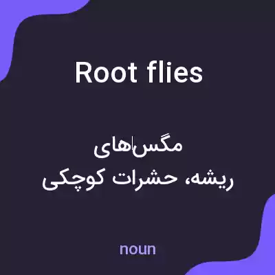 معنی root flies به فارسی معنی root flies به فارسی