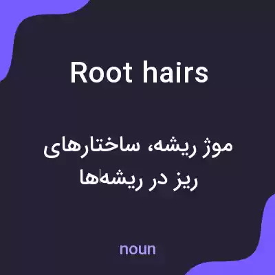 معنی root hairs به فارسی معنی root hairs به فارسی