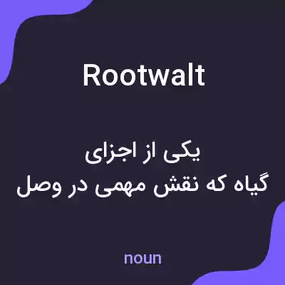 معنی rootwalt به فارسی معنی rootwalt به فارسی