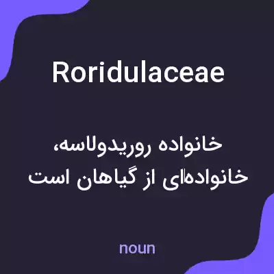 معنی roridulaceae به فارسی معنی roridulaceae به فارسی