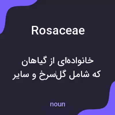 معنی rosaceae به فارسی معنی rosaceae به فارسی