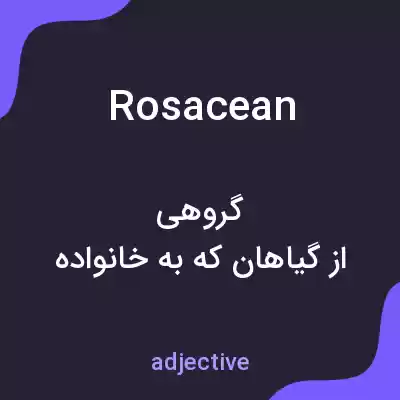 معنی rosacean به فارسی معنی rosacean به فارسی