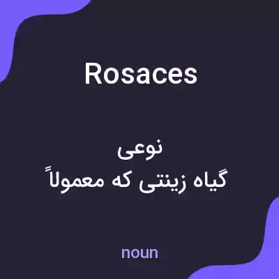معنی rosaces به فارسی معنی rosaces به فارسی