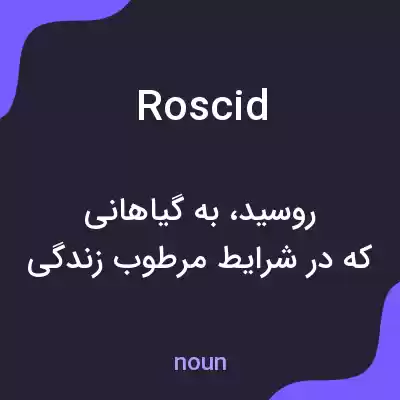 معنی roscid به فارسی معنی roscid به فارسی