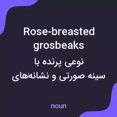 معنی rose-breasted grosbeaks به فارسی معنی rose-breasted grosbeaks به فارسی
