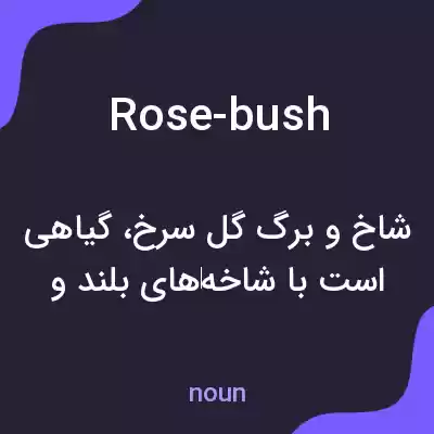 معنی rose-bush به فارسی