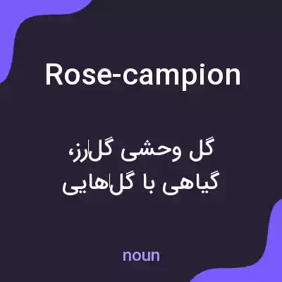 معنی rose-campion به فارسی معنی rose-campion به فارسی