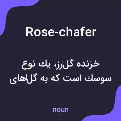 معنی rose-chafer به فارسی معنی rose-chafer به فارسی