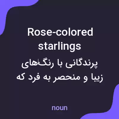 معنی rose-colored starlings به فارسی معنی rose-colored starlings به فارسی