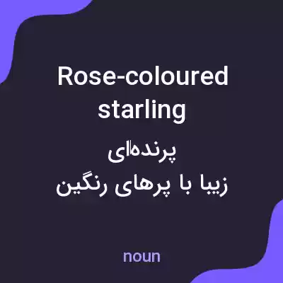 معنی rose-coloured starling به فارسی معنی rose-coloured starling به فارسی