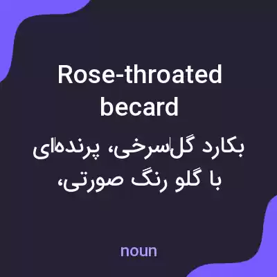 معنی rose-throated becard به فارسی