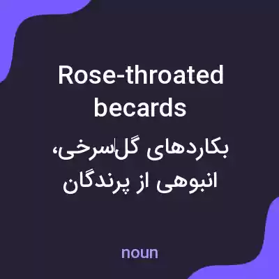 معنی rose-throated becards به فارسی معنی rose-throated becards به فارسی