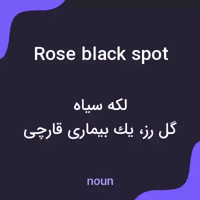 معنی rose black spot به فارسی معنی rose black spot به فارسی