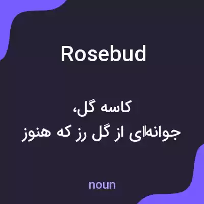 معنی rosebud به فارسی معنی rosebud به فارسی