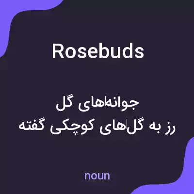 معنی rosebuds به فارسی معنی rosebuds به فارسی