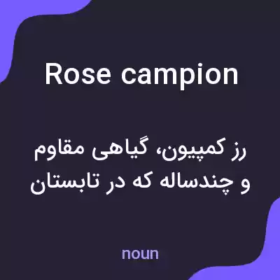 معنی rose campion به فارسی