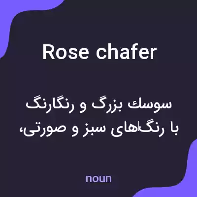 معنی rose chafer به فارسی معنی rose chafer به فارسی