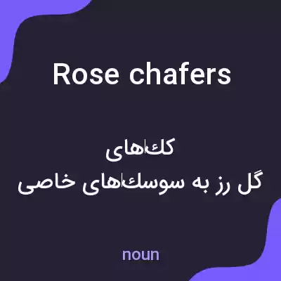 معنی rose chafers به فارسی معنی rose chafers به فارسی