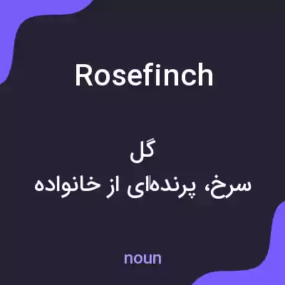معنی rosefinch به فارسی