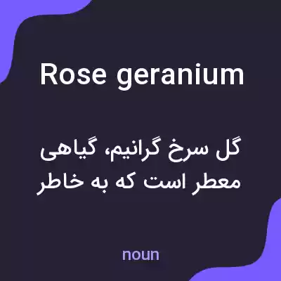 معنی rose geranium به فارسی معنی rose geranium به فارسی