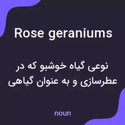 معنی rose geraniums به فارسی معنی rose geraniums به فارسی