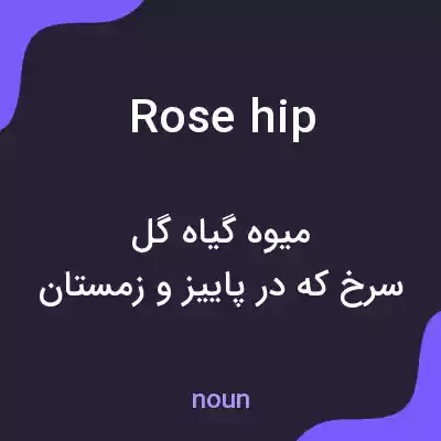 معنی rosehip به فارسی معنی rosehip به فارسی