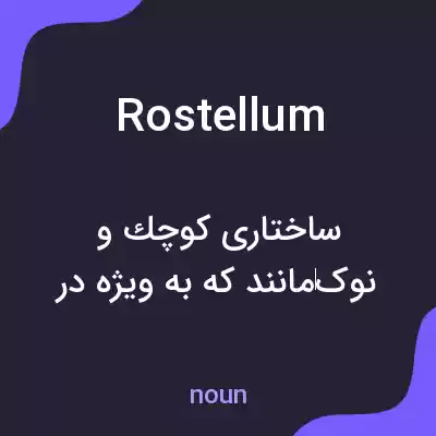 معنی rostellum به فارسی معنی rostellum به فارسی