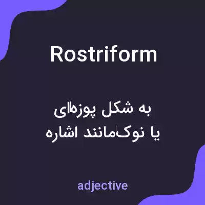 معنی rostriform به فارسی معنی rostriform به فارسی