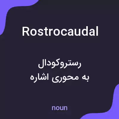 معنی rostrocaudal به فارسی معنی rostrocaudal به فارسی
