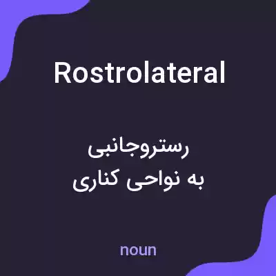 معنی rostrolateral به فارسی معنی rostrolateral به فارسی
