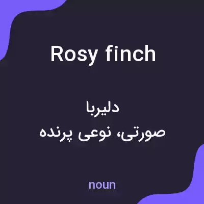 معنی rosy finch به فارسی معنی rosy finch به فارسی